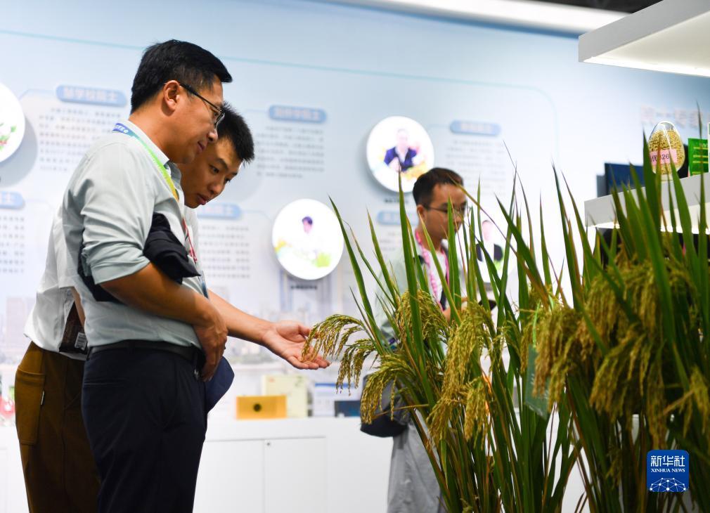 我是大富豪游戏电脑版